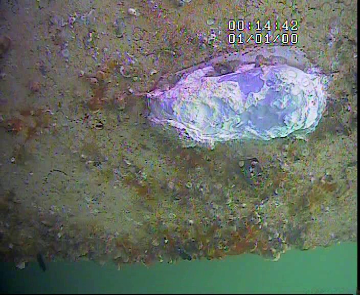 Class IRS Survey of the Barge Scorpio D