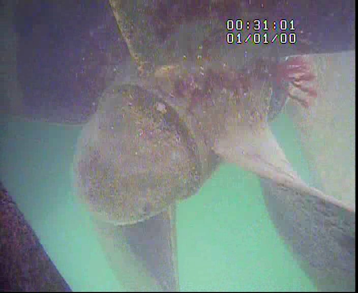 Class RINA Survey of boat Sea Galaxy