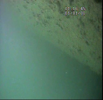 Class RINA Survey of Barge Altair 1