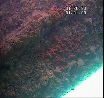 Class RINA Survey of Barge Altair 1